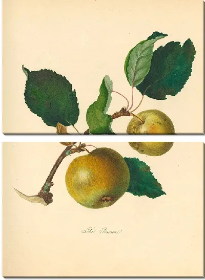 Картина Паусан (1811 г.)