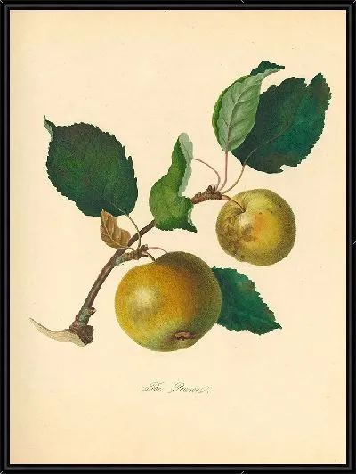 Картина Паусан (1811 г.)