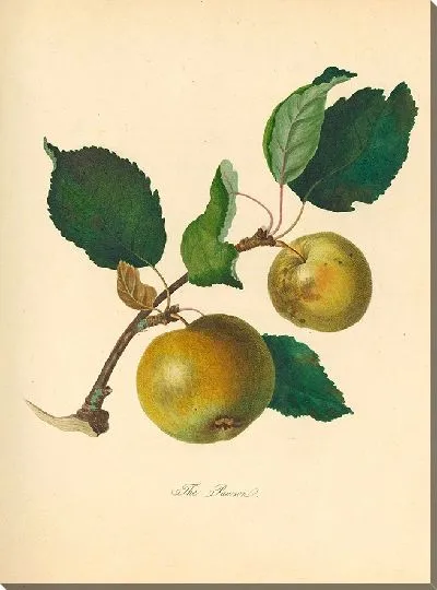 Картина Паусан (1811 г.)