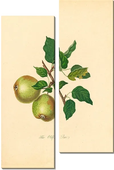 Картина Олдфилд Груша (1811)