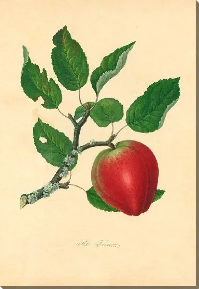 Картина Монах (1811 г.)