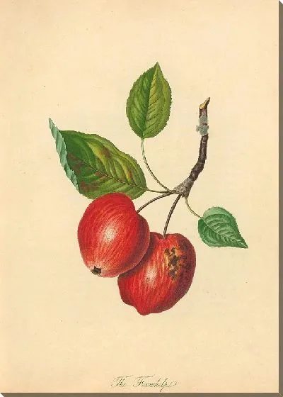 Картина Лисосенок (1811)