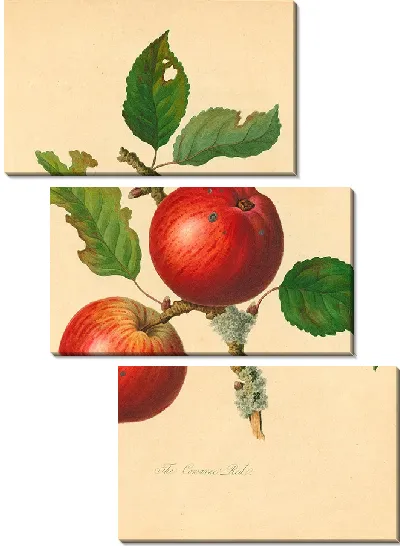 Картина Коварн Ред (1811)