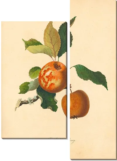 Картина Золотой Харви (1811 г.)