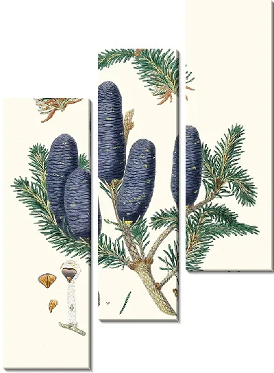 Картина Пихта с пурпурными шишками (1837 г.)