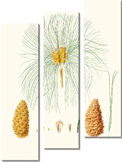 Картина Канарская сосна (1837)