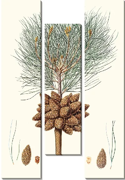 Картина Калабрийская сосна (1837)
