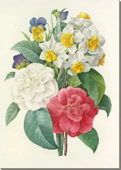 Картина Винтаж ботаника Редуте №3