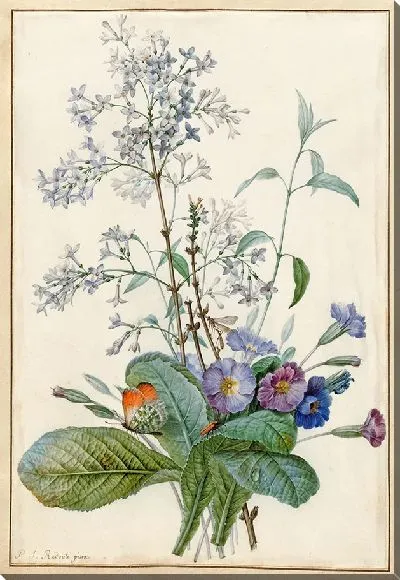 Картина Винтаж ботаника Редуте №14