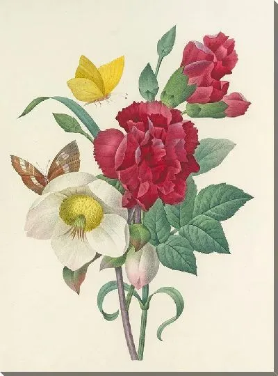 Картина Винтаж ботаника Редуте №32