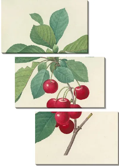 Картина Винтаж ботаника Редуте №46