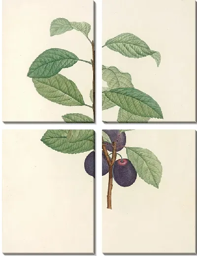 Картина Винтаж ботаника Редуте №62