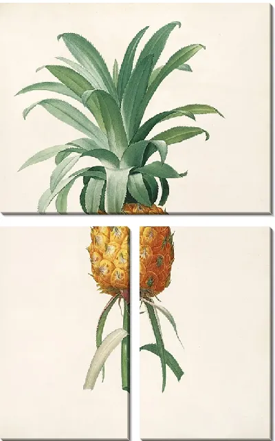 Картина Винтаж ботаника Редуте №77