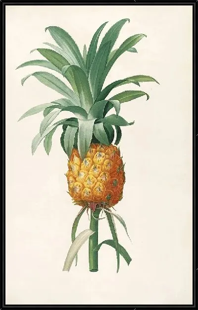 Картина Винтаж ботаника Редуте №77