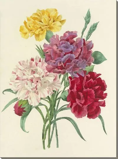 Картина Винтаж ботаника Редуте №103