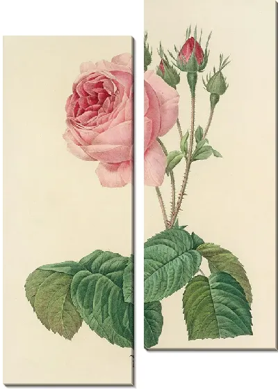 Картина Винтажная ботаника Редуте №110