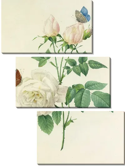 Картина Винтажная ботаника Редуте №112