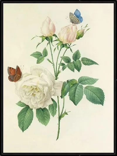 Картина Винтажная ботаника Редуте №112