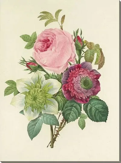 Картина Винтажная ботаника Редуте №113