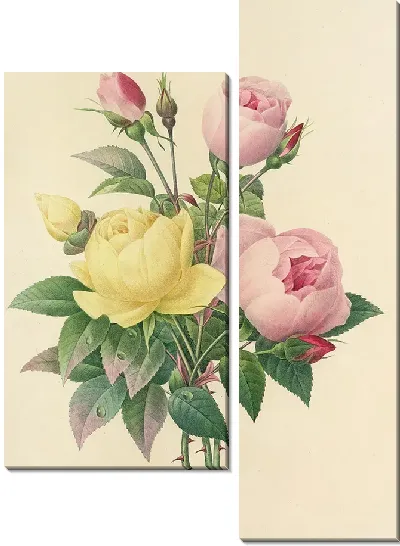 Картина Винтажная ботаника Редуте №115