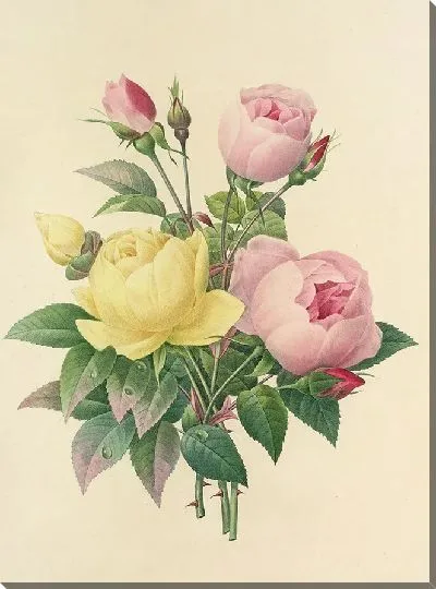 Картина Винтажная ботаника Редуте №115