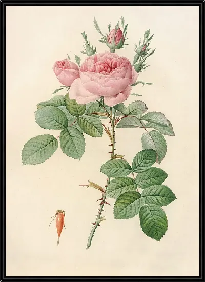 картина