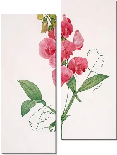 Картина Вечный горох (1827 г.)