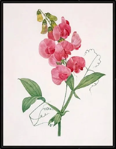 Картина Вечный горох (1827 г.)
