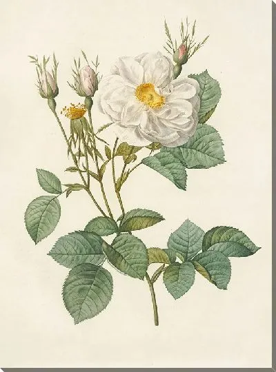 Картина Выбор самых красивых цветов №3