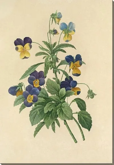 Картина Выбор самых красивых цветов №4