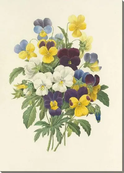 Картина Выбор самых красивых цветов №5