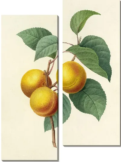 Картина Фрукты