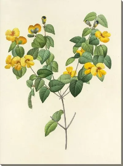 Картина Выбор самых красивых цветов №13