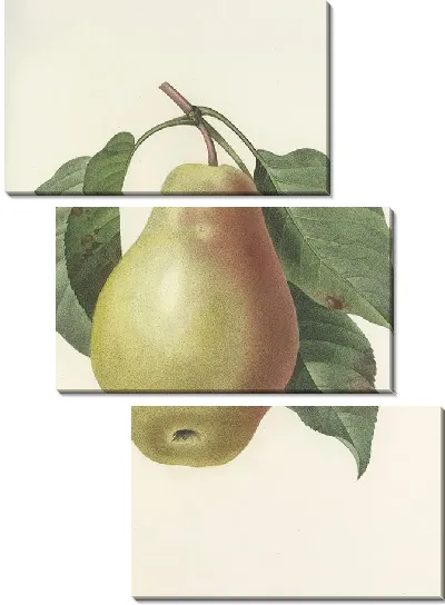 Картина Груша