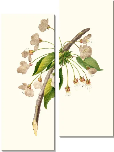 Картина Цветок алычи (1817-1839)