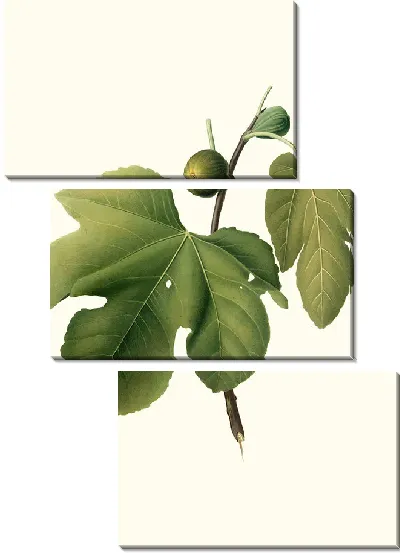 Картина Бриансольский инжир