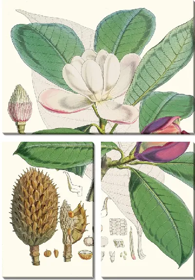 Картина Талаума Ходжони (1855)