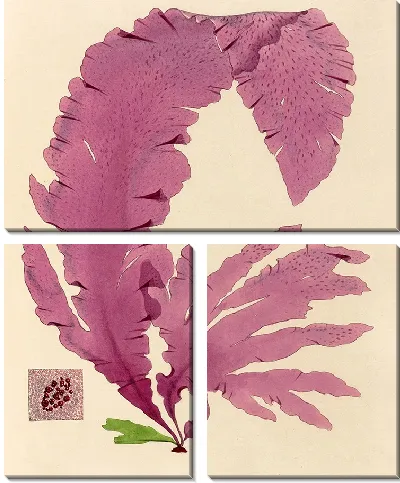 Картина Розовые лепесток