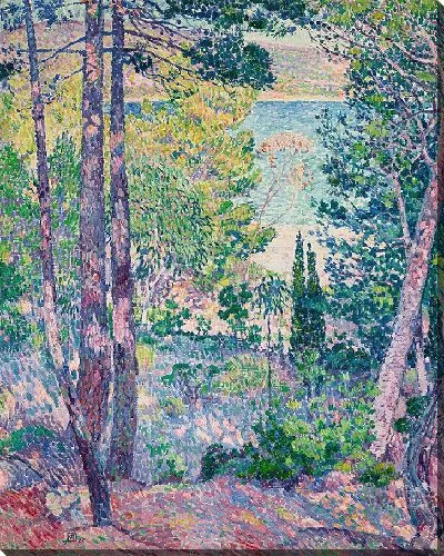 Картина Эвкалипт кавалерский (1905)