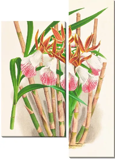 Картина 53011pl
