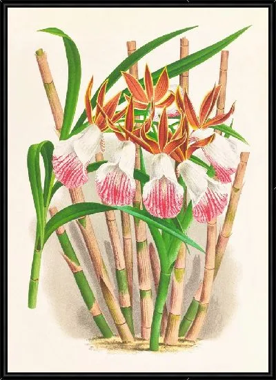 Картина 53011pl