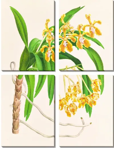 Картина Ванда Линдени (1885-1906)