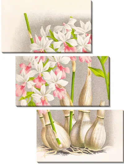 Картина Каланта Реньери (1885-1906)