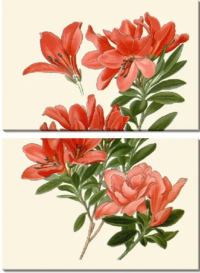 Картина Азалия (1896-1897)