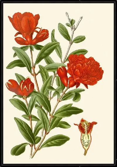 Картина Гранат (1896-1897)