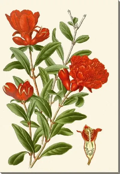 Картина Гранат (1896-1897)