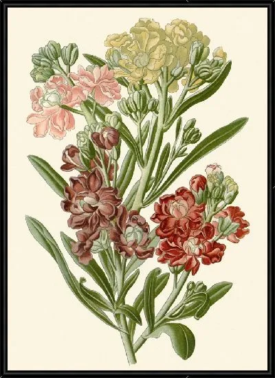 Картина Десятинедельный запас (1896-1897 гг.)