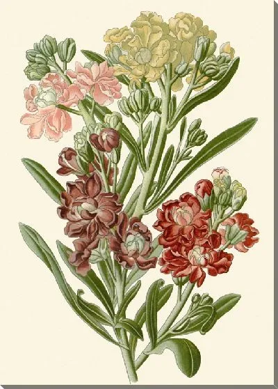 Картина Десятинедельный запас (1896-1897 гг.)