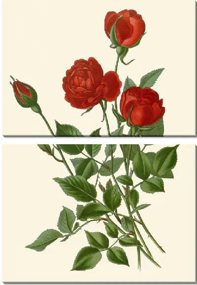 Картина Ежемесячная роза (1896-1897)