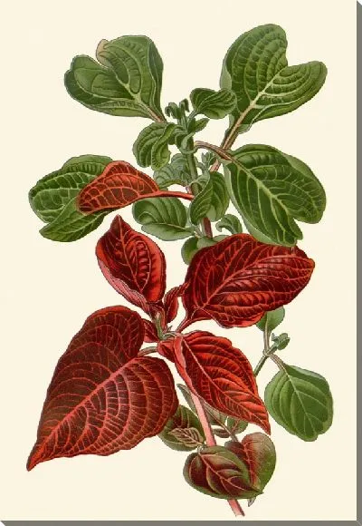 Картина Иресина Хербсти (1896-1897)